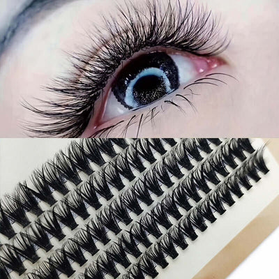 5 Rows Of 40D Clusters Of 10 0 Segmented Lashes - ENova